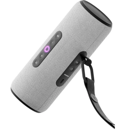 Портативная колонка Яндекс Станция Стрит с Алисой Серый (YNDX-00030GRY)