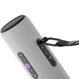 Портативная колонка Яндекс Станция Стрит с Алисой Серый (YNDX-00030GRY)