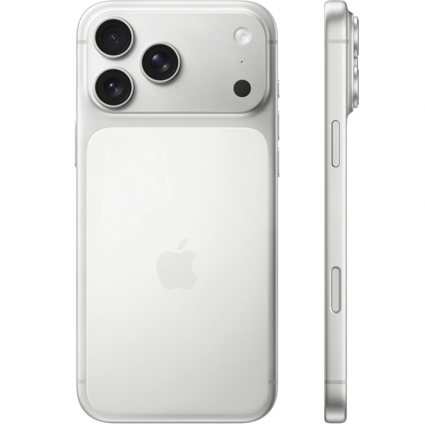 Смартфон Apple iPhone 17 Pro Max 256GB eSim Silver фото 3