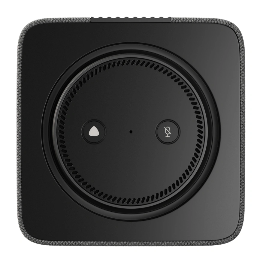 Умная колонка Яндекс Станция Макс с Zigbee Графит (YNDX-00053K) фото 2