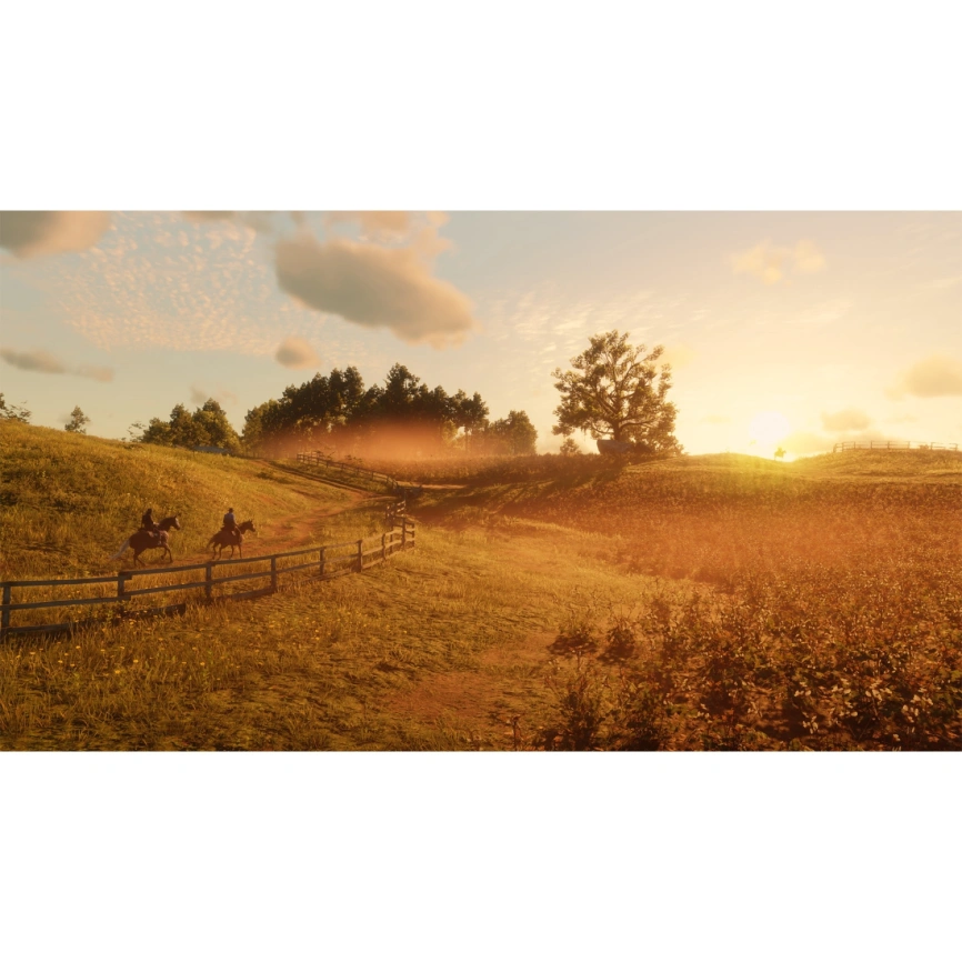 Игра Sony Red Dead Redemption 2 (Русские субтитры) (PS4/PS5) фото 2