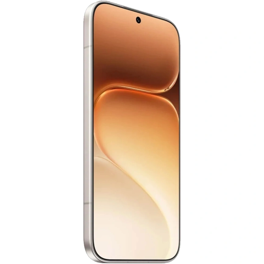 Смартфон Honor 600 12/512Gb Golden White фото 2