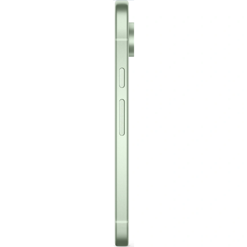 Смартфон Google Pixel 9 12/256Gb Wintergreen фото 5